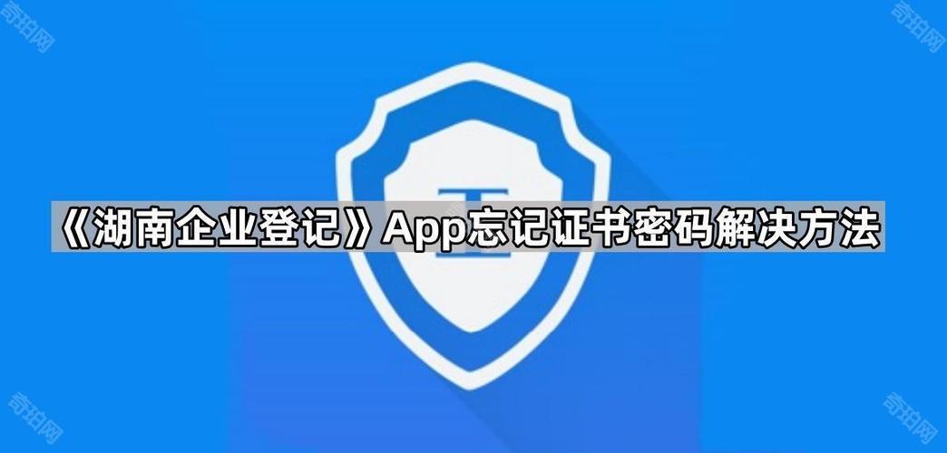 企业登录密码忘记了怎么办
