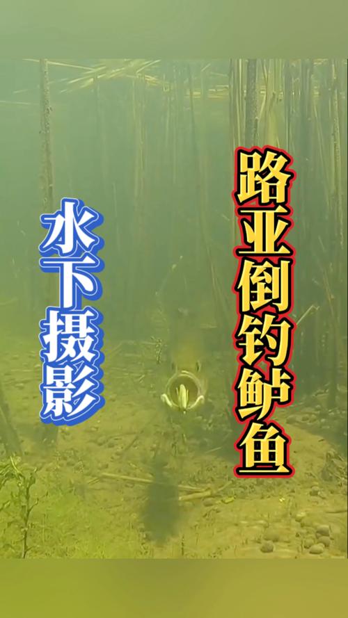 水下钓鱼摄像头哪个好