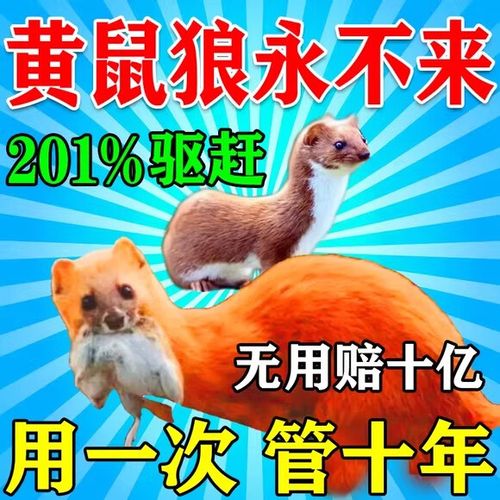 防黄鼠狼的药