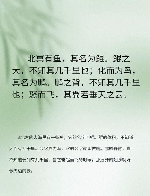 鱼非鱼下一句
