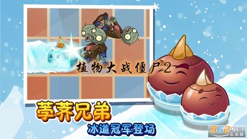植物大战僵尸无需阳光5阶