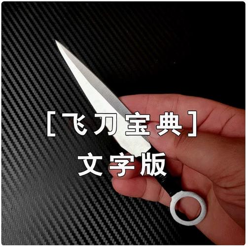 扔飞刀