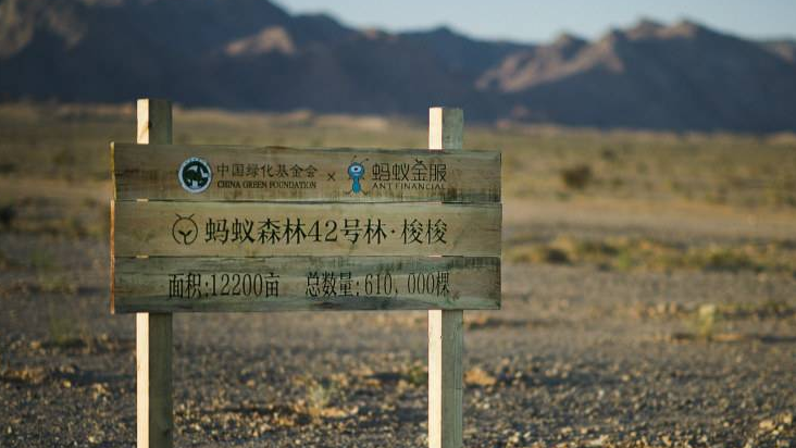 支付宝蚂蚁森林种树