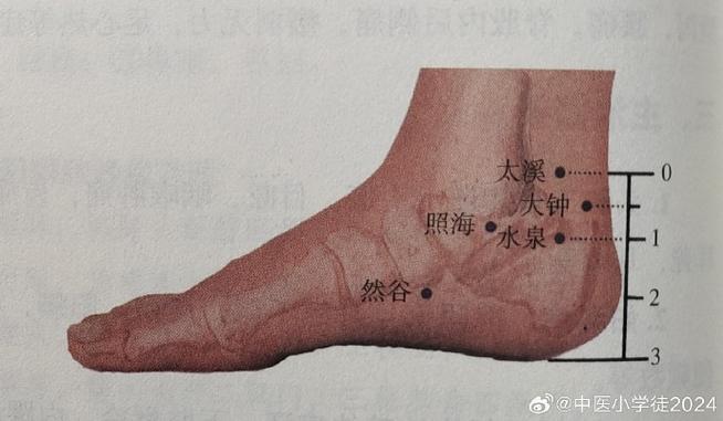 道家水系法术