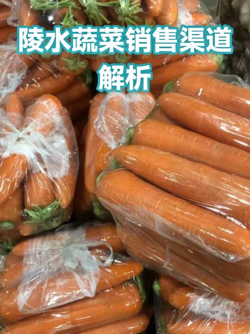 大量蔬菜怎样找销售渠道