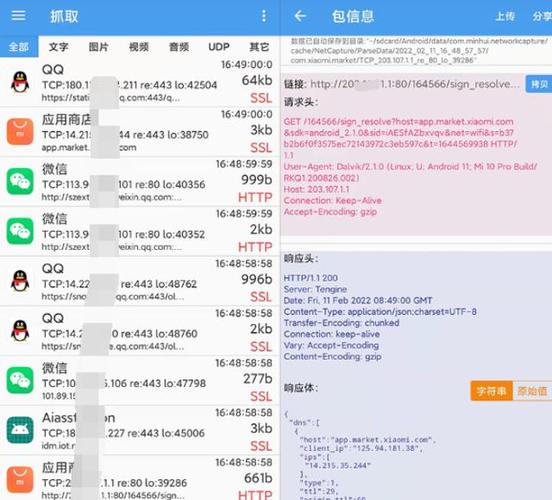 抓包精灵插件下载
