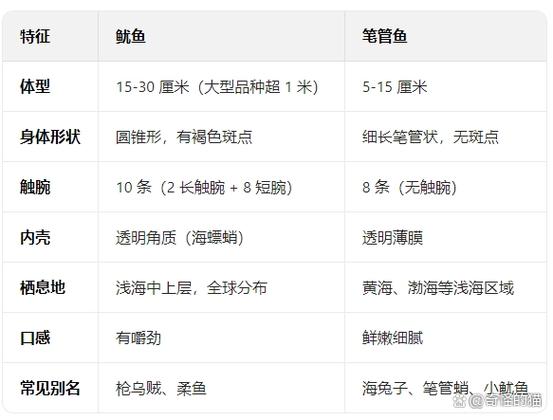 鱿鱼含什么成分最高