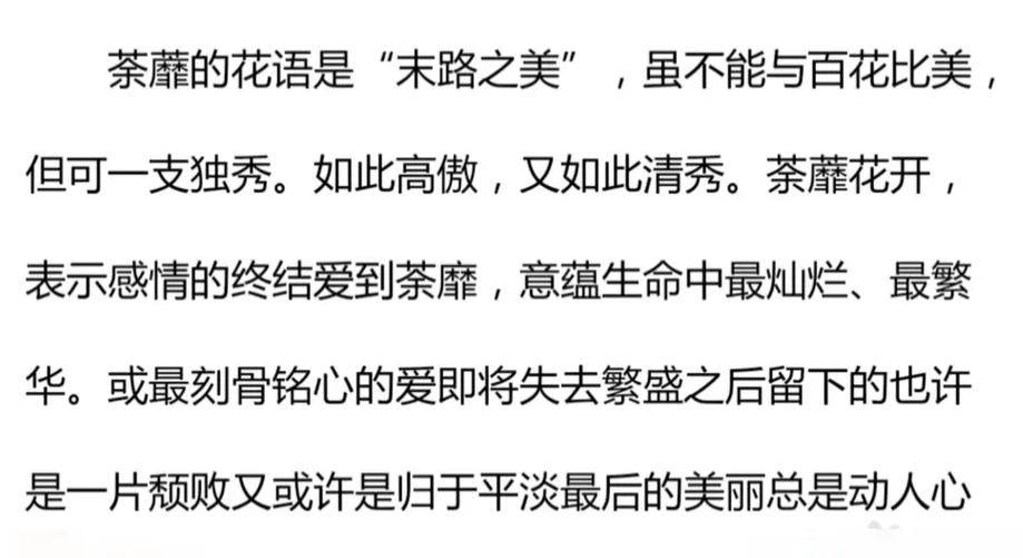 《繁花》董贞歌词