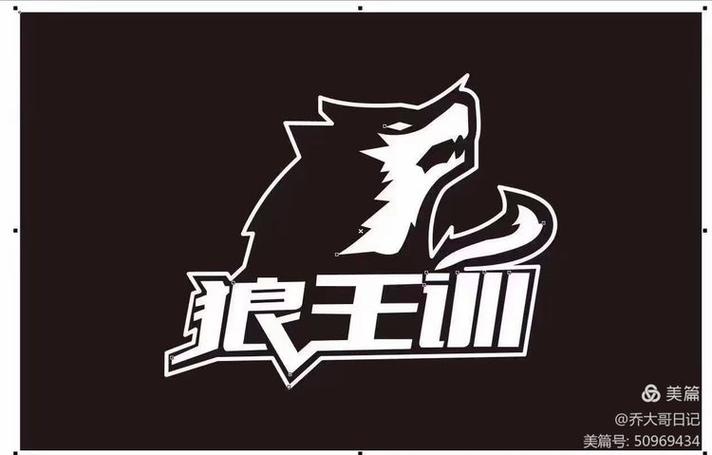 易快网的狼王培训是什么