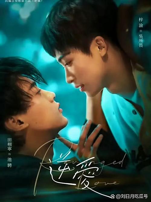 影视剧大全免费观看缩略图