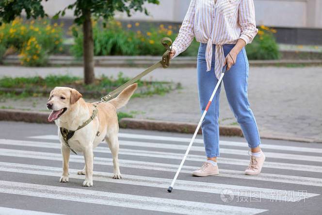 盲人代表什么动物