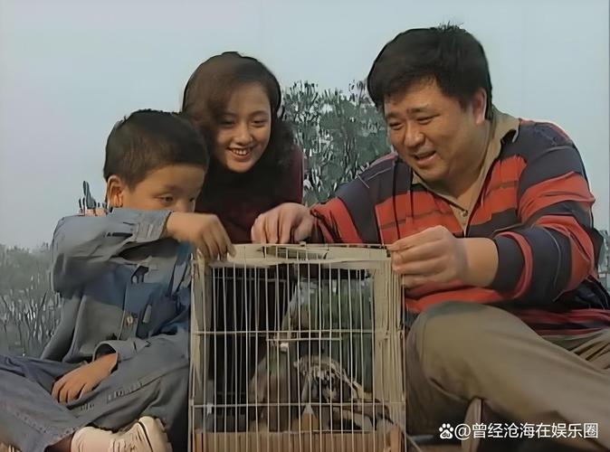 薛继军为什么每部电视剧都有他