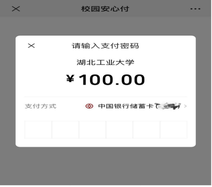 校园安心付几点可以缴费