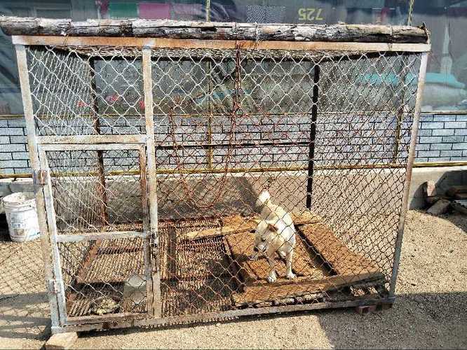 梅河口信息猫