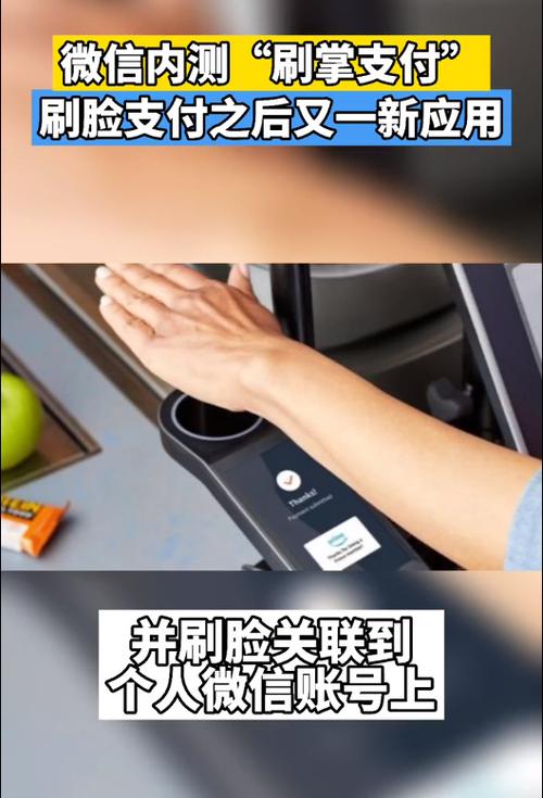 刷手是什么意思