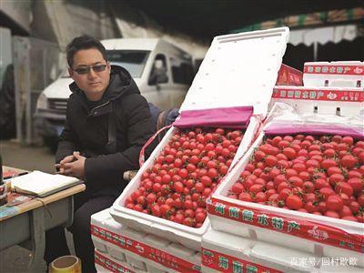 圣女果免不免高速费