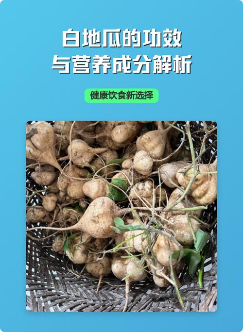 生吃白地瓜有什么好处