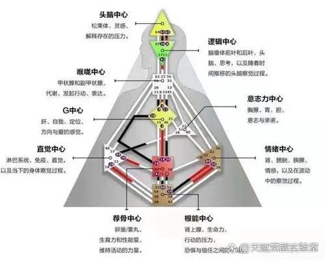 多空策略的定义和优势