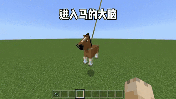 我的世界马的血量缩略图