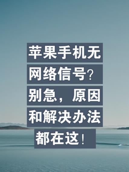 苹果手机没信号无服务怎么回事