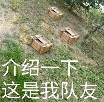 盒子精表情包