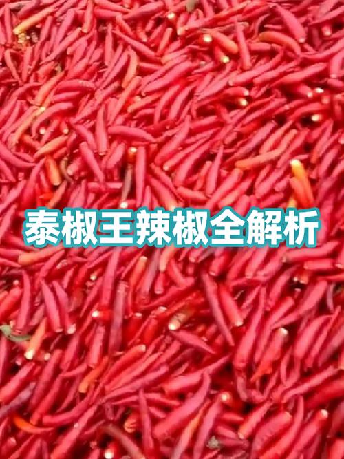 泰椒辣度是多少