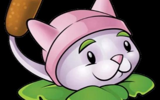 植物大战僵尸奇怪猫