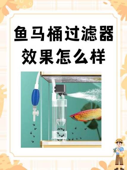 过滤太大对鱼有什么影响