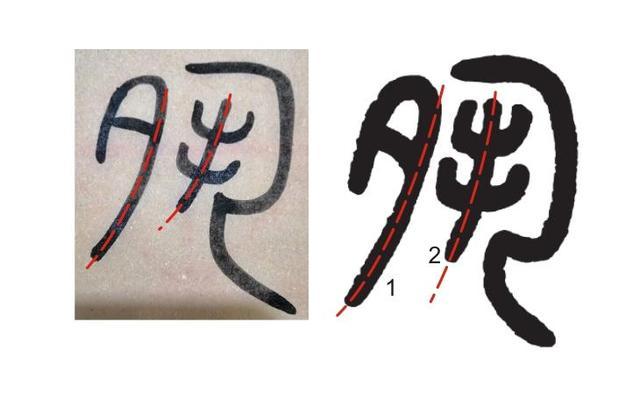 word字上面看不见缩略图