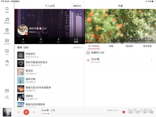 网易音乐人审核要达到什么标准