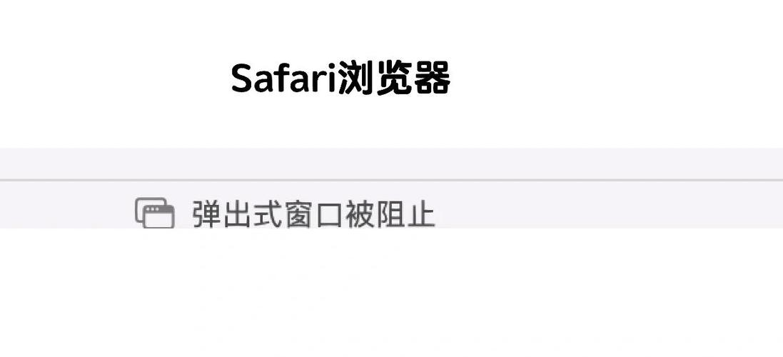 safari是干什么用的