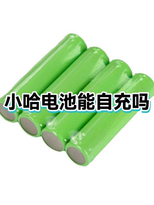 小哈租电可以自己充电吗