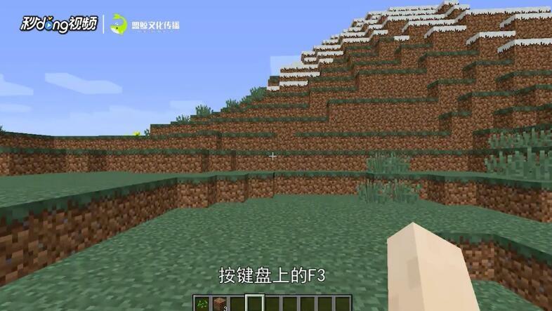 查看我的世界层数方法