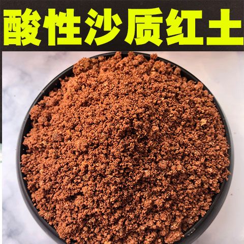 种花的土去哪里挖最好