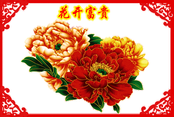 花开富贵表情包gif