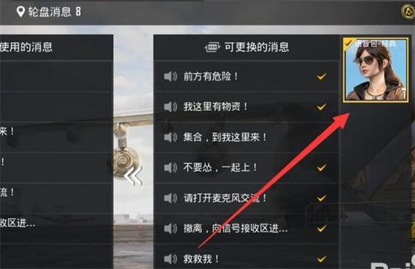 和平精英游戏语音怎么设置