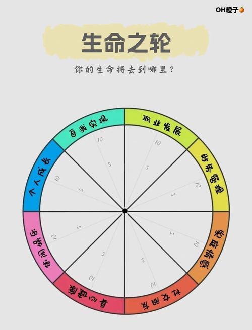 生命方舟什么意思
