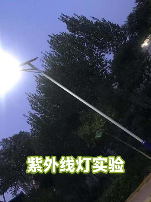 手机怎么照射紫光灯