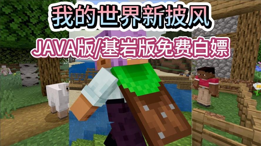 我的世界java版皮肤下载