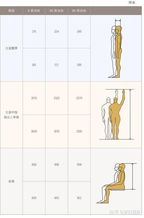 不同身高的妇女人体尺寸参考