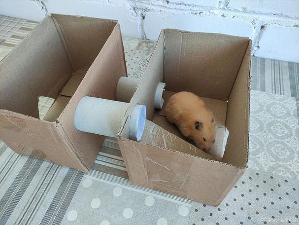 仓鼠窝diy制作游戏截图
