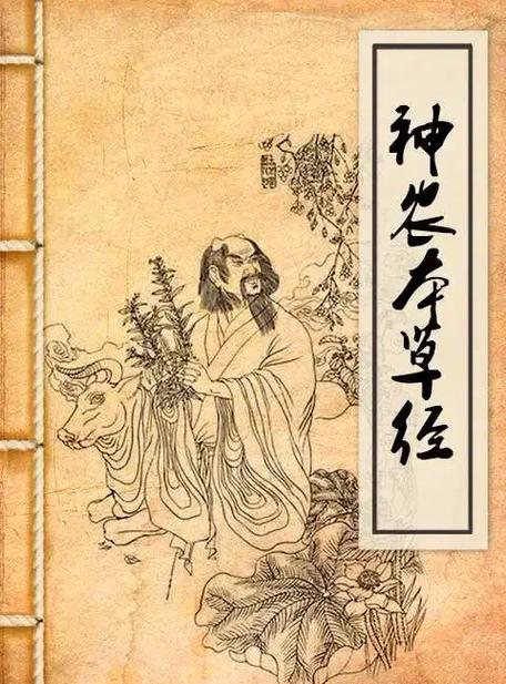 神农本草经原文完整版