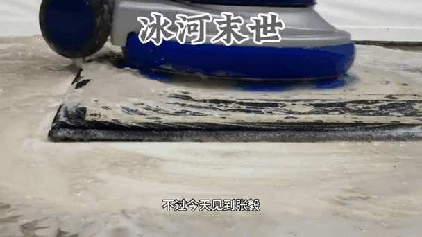 冰河末世:我囤了百亿物资