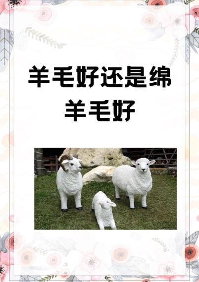 绵羊毛好还是羊毛好