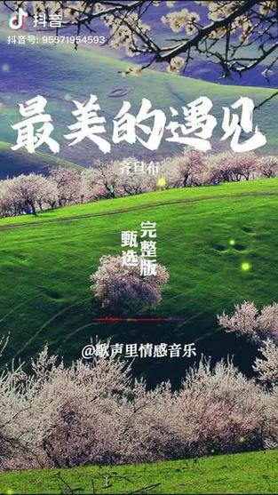 朗诵《最美的遇见》
