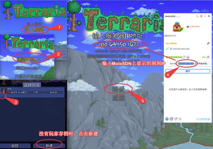 泰拉瑞亚怎么和陌生人联机游戏截图