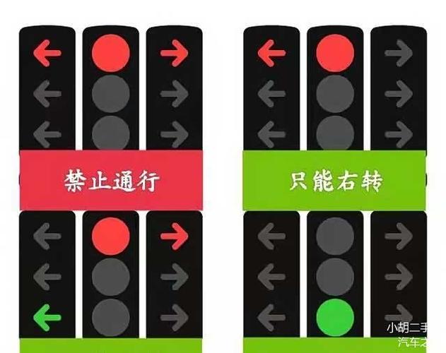 新红绿灯怎么看