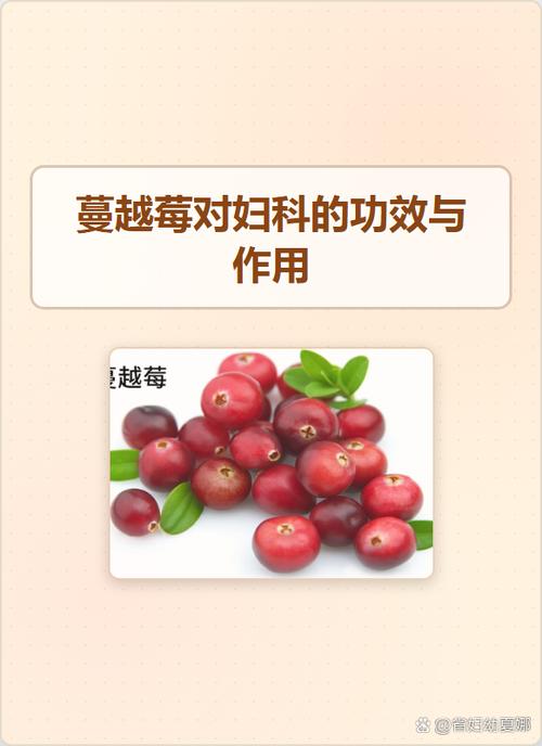 蔓越莓的功效与作用对女性妇科