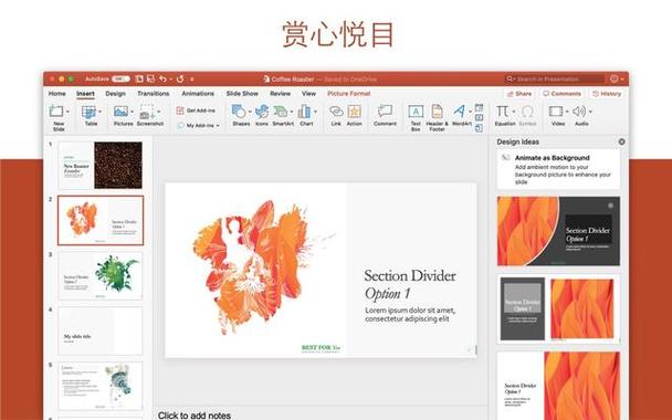 ppt2019破解版