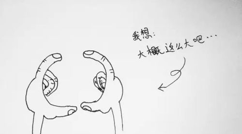 大概这么大